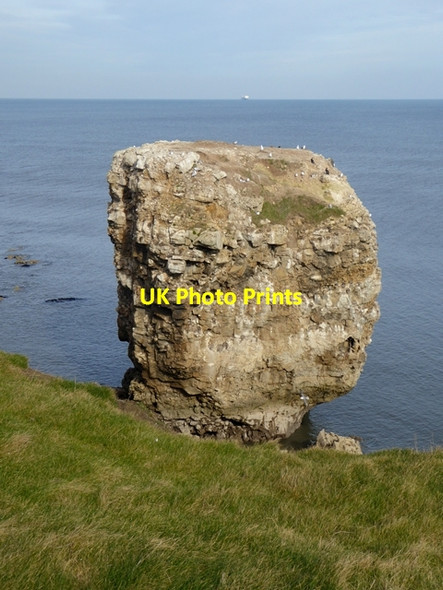 Photo 6"x4" Jack Rock Marsden\/NZ3964 c2016