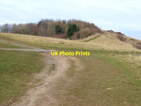 Photo 6"x4" Whitburn Coastal Park Whitburn\/NZ4062 c2016