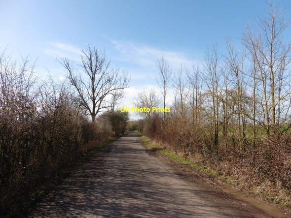 Photo 6"x4" Cuts Road Athelney c2016
