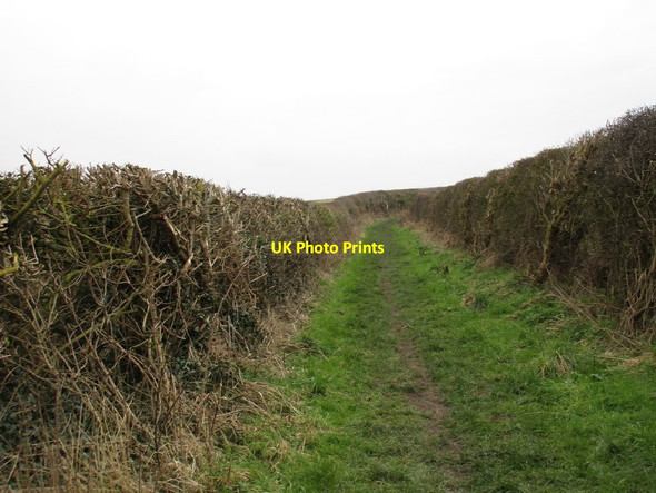 Photo 6"x4" Footpath to Ravenfield Grange Ravenfield c2016