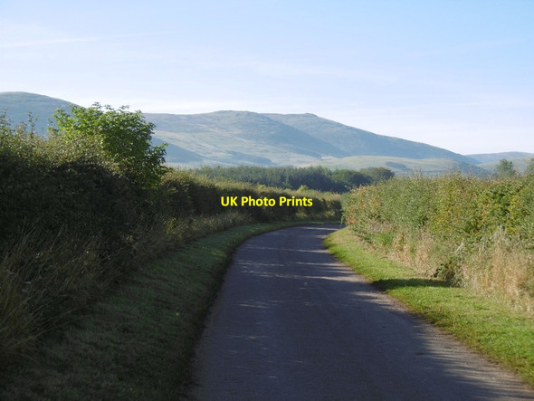 Photo 6"x4" Milfield to Lanton Road Coupland\/NT9331 c2015