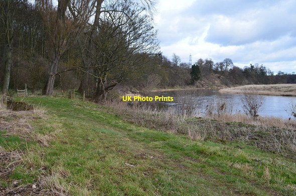Photo 6"x4" Riverside path near Lennel Coldstream\/NT8439 c2016