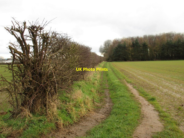 Photo 6"x4" Track to Atkinson's Holt Flixborough c2016