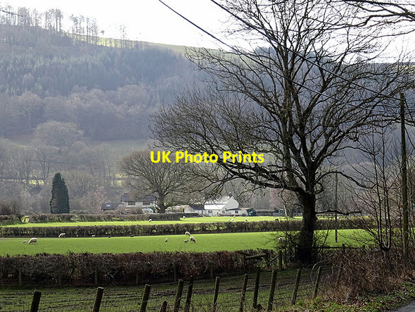Photo 6"x4" Glanrhyd-ty-noeth, Cwm Rheidol Nantyronen Station c2016