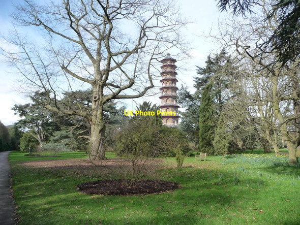 Photo 6"x4" The Pagoda at Kew Gardens in winter Brentford c2016