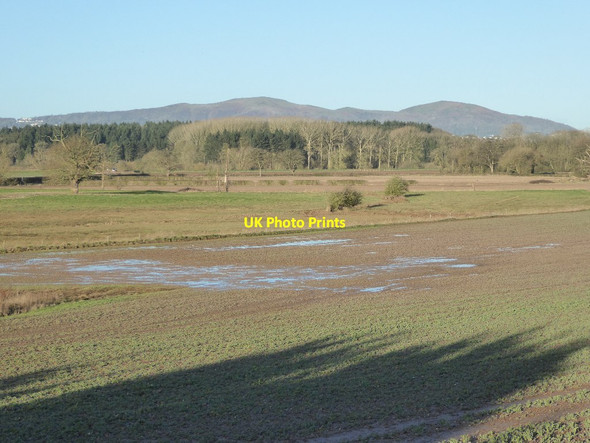 Photo 6"x4" Floodplain at Severn Stoke Severn Stoke c2016