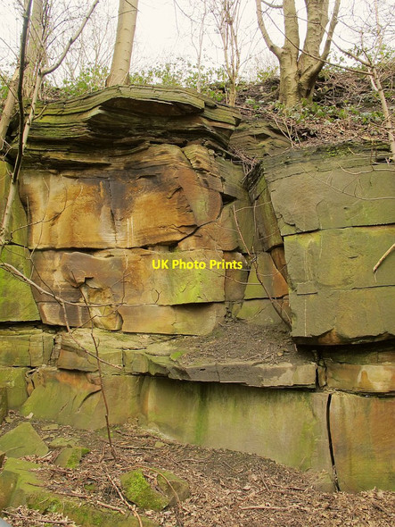 Photo 6"x4" Disused quarry at Windmill Hill (Detail) Pudsey\/SE2233 c2016