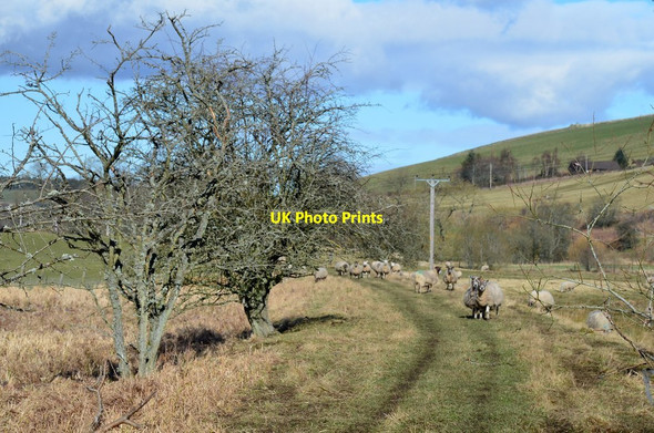 Photo 6"x4" Old trackbed near Nether Kidston Mailingsland c2016