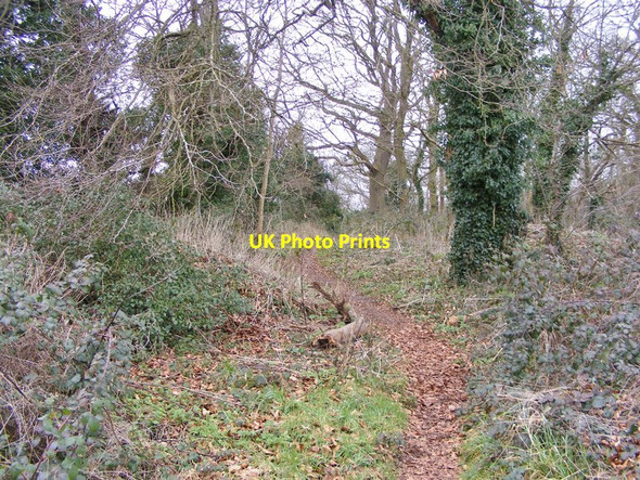 Photo 6"x4" Hermitage Hill Coppice Path Bridgnorth c2016