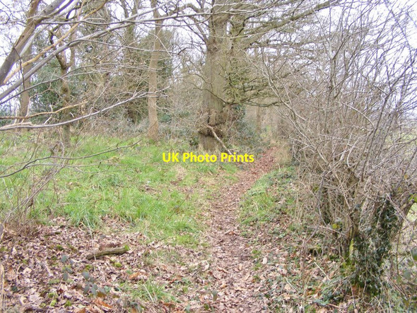 Photo 6"x4" Ridge Path Bridgnorth c2016