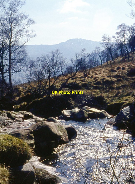 Photo 6"x4" Birch woods at Allt Coire na B\u00c3\u00a0 Kinlochmore c1971