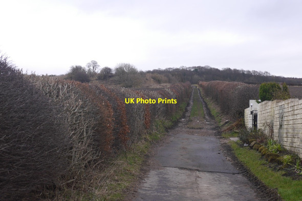 Photo 6"x4" Masterton Quarry road Bryans c2016