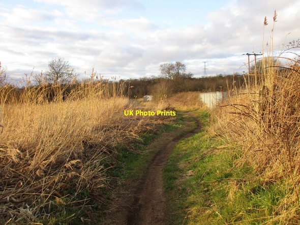 Photo 6"x4" Footpath to Flixborough Flixborough c2016