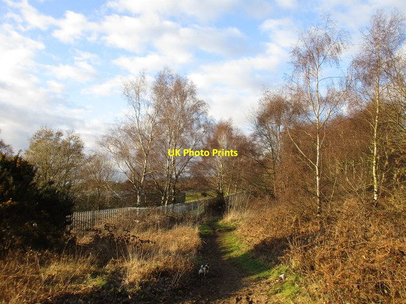 Photo 6"x4" Path to Flixborough Flixborough Stather c2016