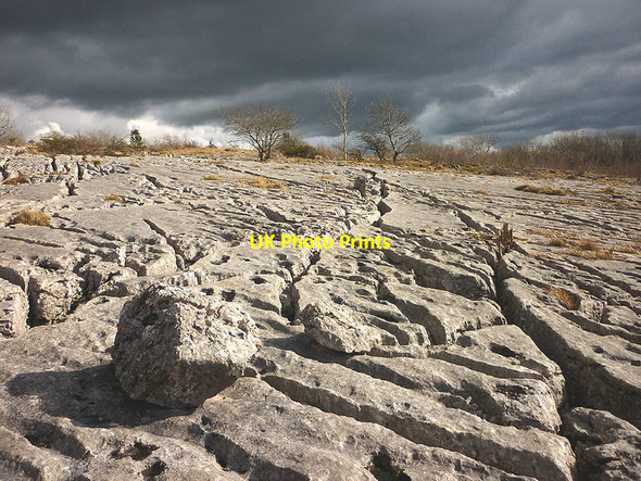 Photo 6"x4" Limestone pavement north of Potslacks Newbiggin\/SD5579 c2016