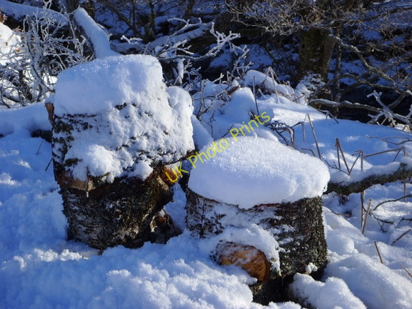 Photo 6"x4" Snow-decorated logs, Strathfarrar Glen Strathfarrar\/NH3439 c2009