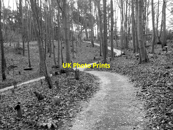 Photo 6"x4" GreenAcres woodland burial ground Little Melton c2016
