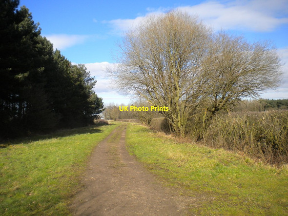 Photo 6"x4" Bridleway past Crownend Wood (2) New Kingston c2016