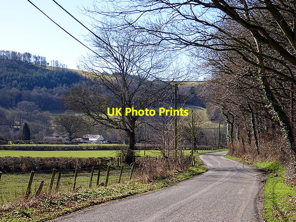Photo 6"x4" The lane through Cwm Rheidol Nantyronen Station c2016