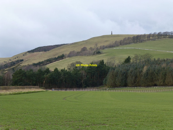 Photo 6"x4" Arable fields at Lanton Coupland\/NT9331 c2016