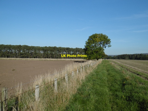 Photo 6"x4" Long straight path Akeld c2015