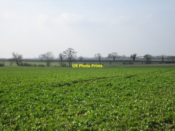 Photo 6"x4" Fields near Catwick Catwick\/TA1345 c2016
