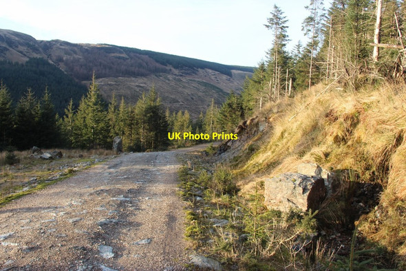 Photo 6"x4" Forest road in Glen Tarsan Garbh Allt Beag c2016