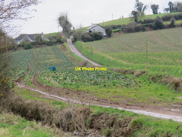 Photo 6"x4" Crop fields and rural housing Aherla c2016