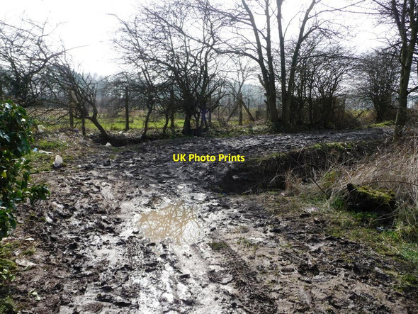 Photo 6"x4" The muddiest bit of the footpath to Bessingby Bridlington c2016