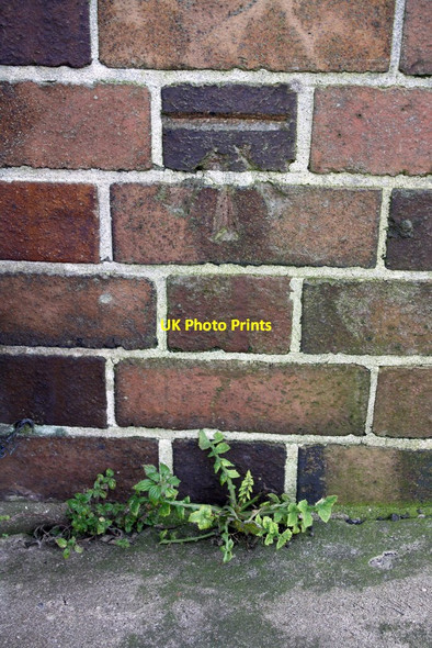 Photo 6"x4" Benchmark on library, Filton Avenue Bristol c2016