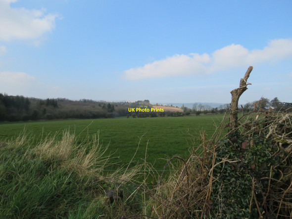 Photo 6"x4" Fields near Knockburden Ballincollig c2016