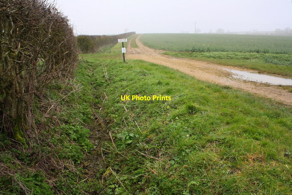 Photo 6"x4" Track towards Purwell Farm from Cassington Cassington\/SP4510 c2016