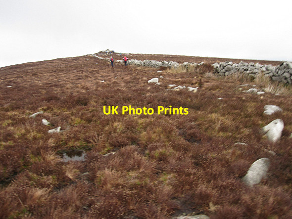 Photo 6"x4" Cloroge More Kiltealy c2016