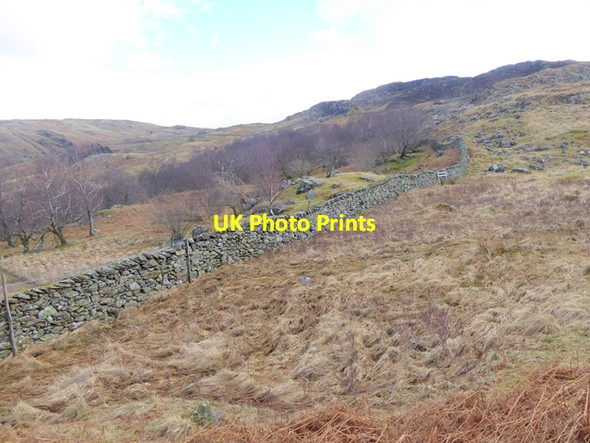 Photo 6"x4" Wall on the moor above Watendlath Watendlath c2016