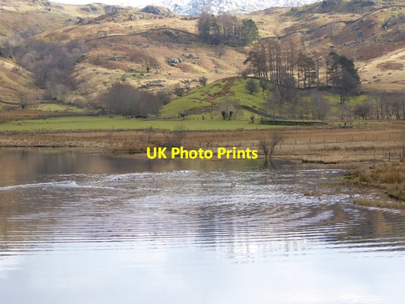 Photo 6"x4" Ripples in the tarn Watendlath c2016