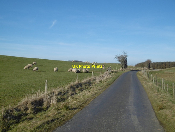 Photo 6"x4" Minor road, Dodburn Broadhaugh\/NT4509 c2016
