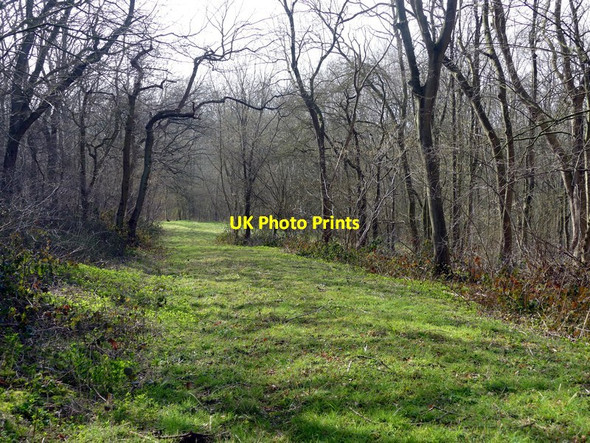 Photo 6"x4" Track in Redgate Wood Belle Eau Park c2016