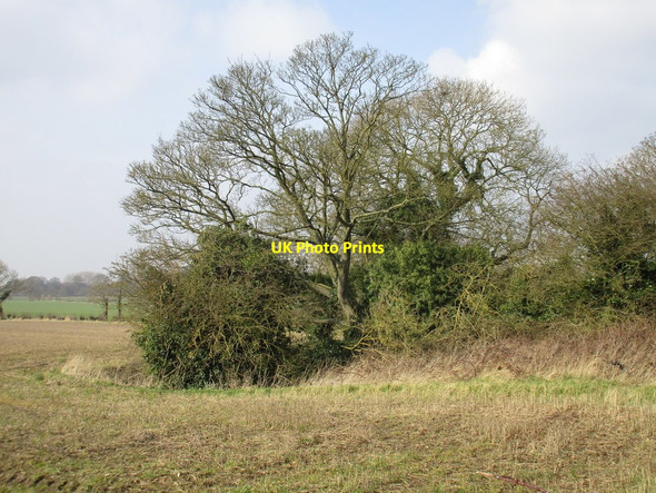 Photo 6"x4" Trees surrounding a pond, Sigglesthorne Seaton\/TA1646 c2016