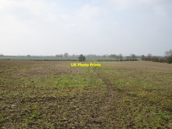 Photo 6"x4" Footpath to Catwick Seaton\/TA1646 c2016