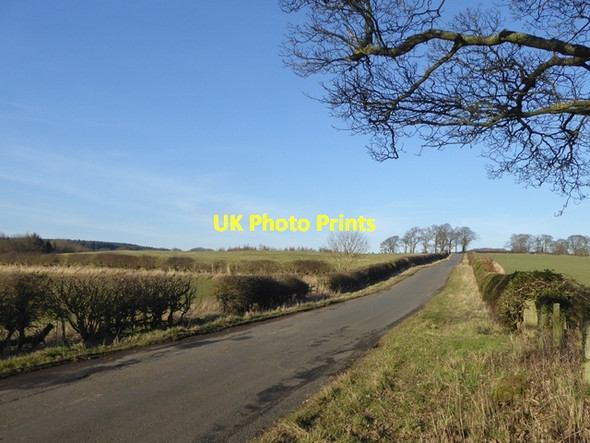 Photo 6"x4" Country road from Oakwood to Beaufront Anick c2016