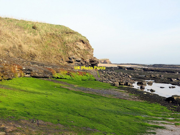 Photo 6"x4" Green algae near Howick Haven Howick\/NU2517 c2016