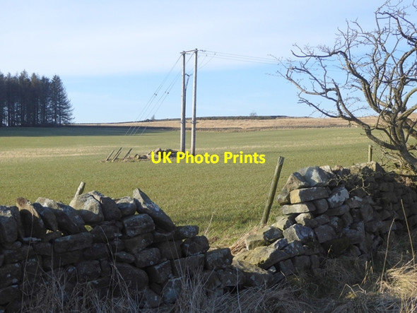 Photo 6"x4" Electricity lines at Fawcet Hill Sandhoe c2016
