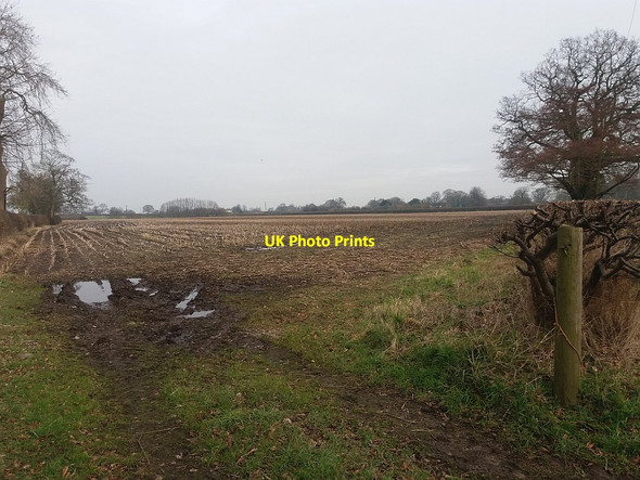 Photo 6"x4" Stubble in a field off Pillar Box Lane, Bradwall  Bradwall Green c2016