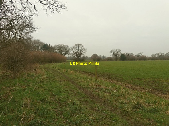Photo 6"x4" Footpath past Fox Covert Farm Bradwall Green c2016