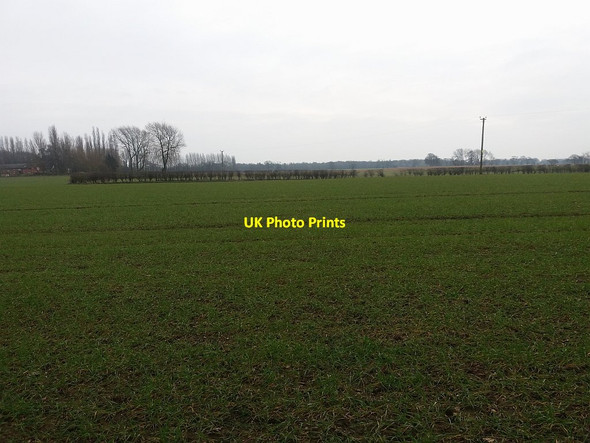 Photo 6"x4" Arable field near Duke's Oak Farm Brownedge c2016