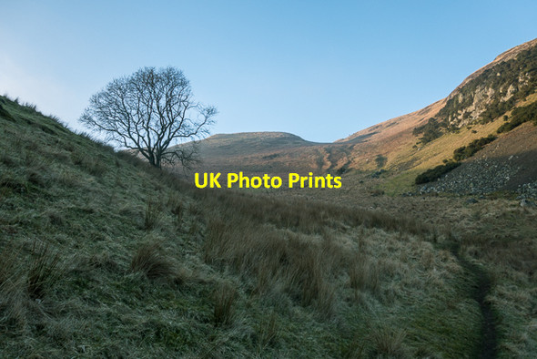 Photo 6"x4" Hillside on Dumyat Blairlogie c2016