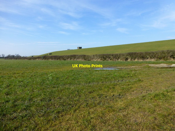 Photo 6"x4" Boundary hedge on south side of Alston No 2 Reservoir Longridge\/SD6037 c2016