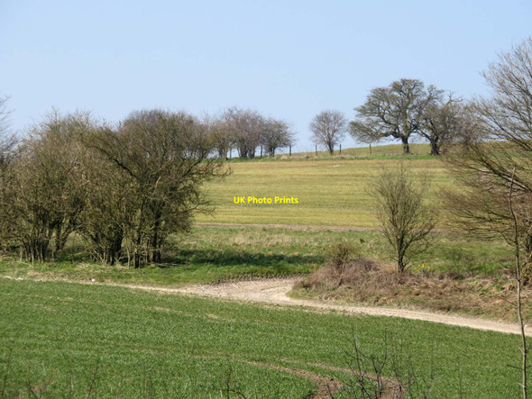 Photo 6"x4" Farm track between fields Old Burghclere c2016
