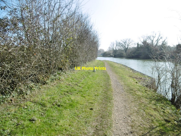Photo 6"x4" Purton, towpath Halmore c2016