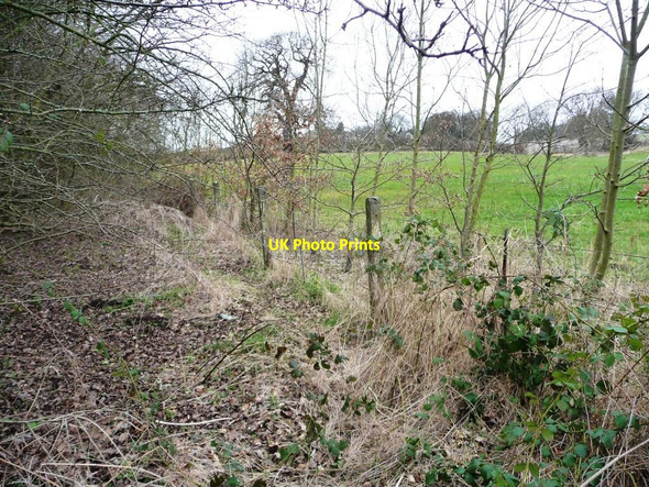 Photo 6"x4" Railway boundary fence, west of Worsbrough Worsbrough c2016